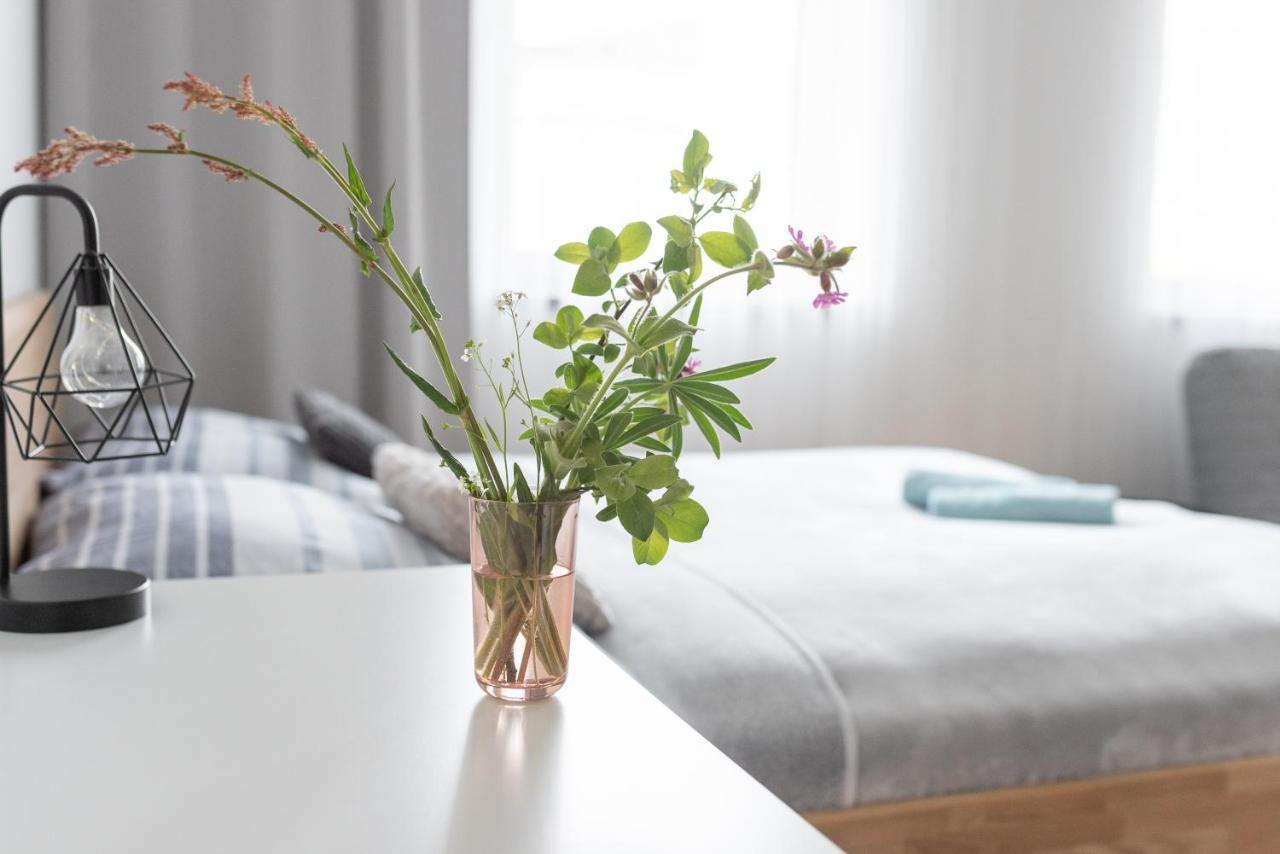 Destne Apartmany เดชท์เน ออร์ลิซกี โฮราค ภายนอก รูปภาพ